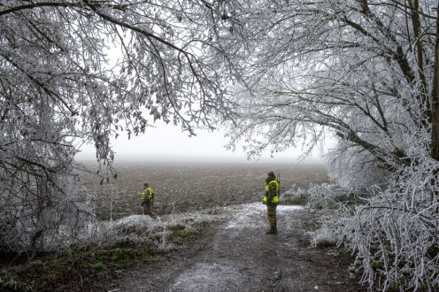 Photo: Károly Árvai/kormany.hu