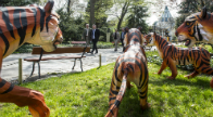 Ingyen látogathatják a fővárosi állatkertet a budapesti gyermekvédelmi intézmények lakói 