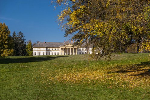Az eredetileg 300 hektár kiterjedésű történeti kastélypark teljes rekonstrukciója a legnagyobb volumenű kerthelyreállítás hazánkban a II. világháború óta Fotó: Csákvári Zsigmond/kultúra.hu