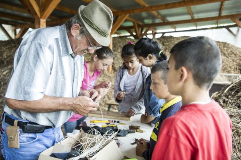 Fotó: Botár Gergely