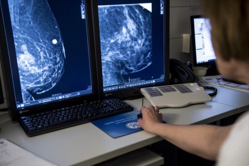 Fotó: Árvai Károly/kormany.hu