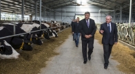 Jelentősen nő jövőre az állattartók és a tejtermelők támogatása