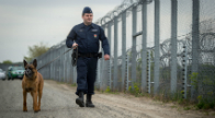Elkészült a második kerítés a magyar-szerb határon